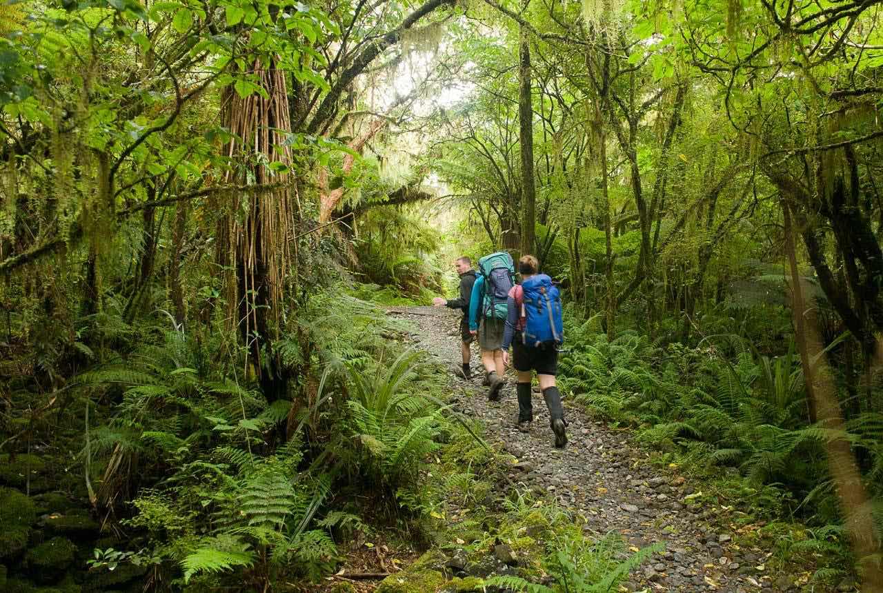 Hiking & Walking - SwirlGreenmantle tracks take guests through water gardens, Nikau forest with its own small amphitheatre up to a secluded native tree clearing for a breath then down again through more challenging Ponga forest. Nearby there is also a great range of tracks including;- Waikanae Estuary there is a 5km track for biking and walking as part of the Otaihanga domain and Scientific Reserve. - Queen Elizabeth Park has a variety of beautiful tracks with its coastal and inland dunes backed by wetlands habitats.- Te Araroa Walkway - Paekākāriki Escarpment reaching 220 meters above sea level it has spectacular views. It takes around 3-4 hours.