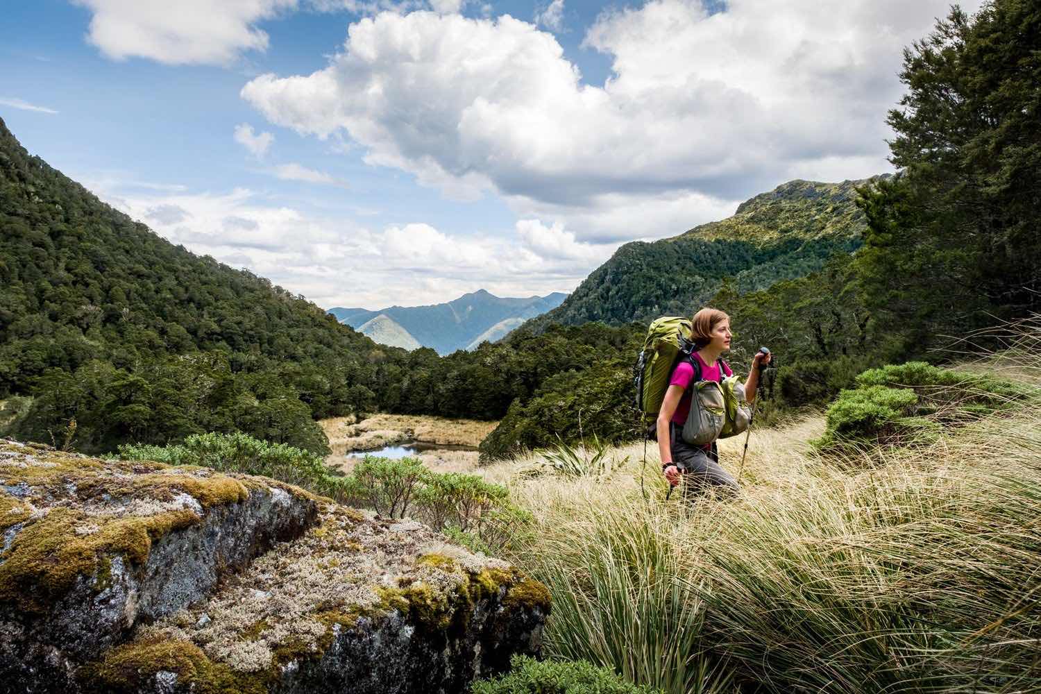 Mount Hector - Mount Hector is a really spectacular delight and an alpine experience not to be missed for a 24-minute return flight. During the winter season it’s often snow capped at an altitude of 5000ft. Listen to informative stories of the Tararua Ranges of years gone by like how during the 1920s & 1930s skiers would tramp from the Otaki Forks to ski the slopes near Kime Hut.Mount Hector is a really spectacular delight and an alpine experience not to be missed for a 24-minute return flight. During the winter season it’s often snow capped at an altitude of 5000ft. Listen to informative stories of the Tararua Ranges of years gone by like how during the 1920s & 1930s skiers would tramp from the Otaki Forks to ski the slopes near Kime Hut.