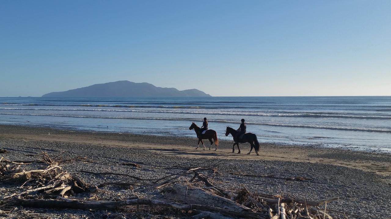 Horseback Riding - SwirlTwo-hour Waikanae Beach trek form the equestrian centre next to the Waikanae River in a beautiful rural setting, mount one of the well schooled horses or ponies, then ride down a track to wonderful beach on which to ride and outstanding sea vistas to enjoy along the sands of this wide open stretch for two hours with a stop at a beach café for good coffee and refreshments during the ride.(This activity is suitable for experienced riders, subject to favourable weather and tide conditions.)