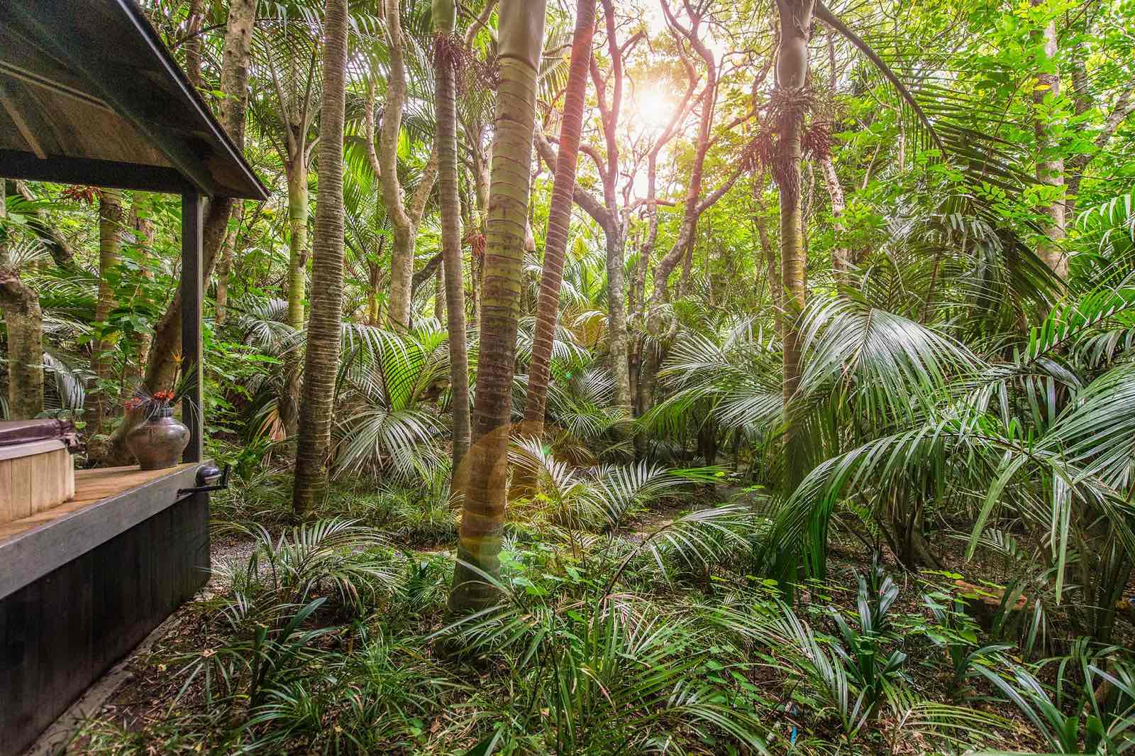 Garden & Heritage Tours - SwirlGreenmantle’s own formal gardens have been a local feature enjoyed for decades. However, its native Nikau forest with dense canopy is a subtropical surprise. There are treats also nearby for passionate gardeners with a botanic interest both exotic and native.